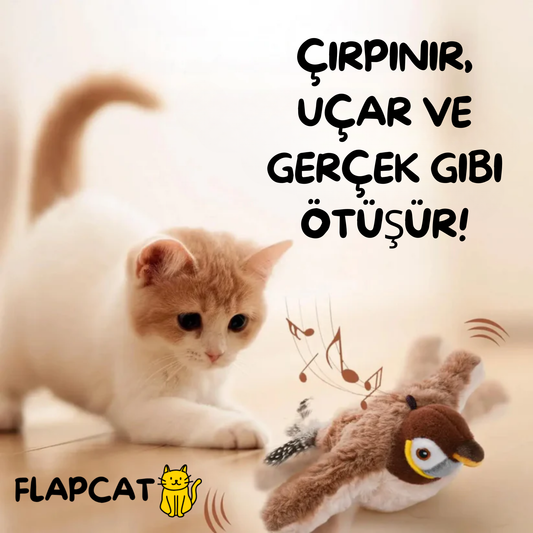 FlapCat™ Çırpınan Kuş Kedi Oyuncağı — USB Şarjlı, Sesli ve Hareketli