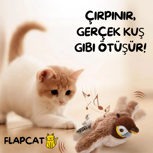FlapCat™ Çırpınan Kuş Kedi Oyuncağı — USB Şarjlı, Sesli ve Hareketli